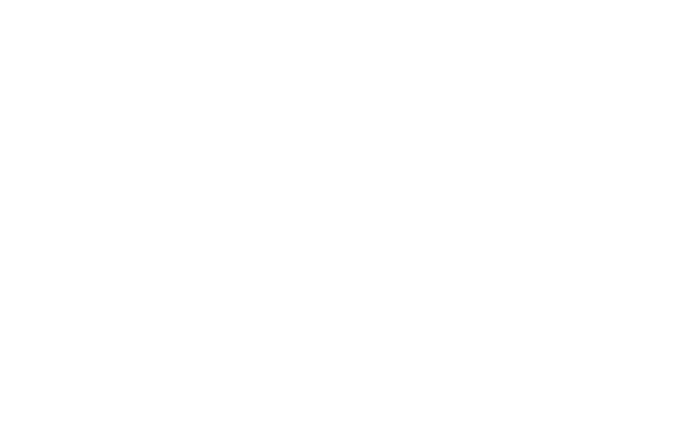 Deluxe Detail